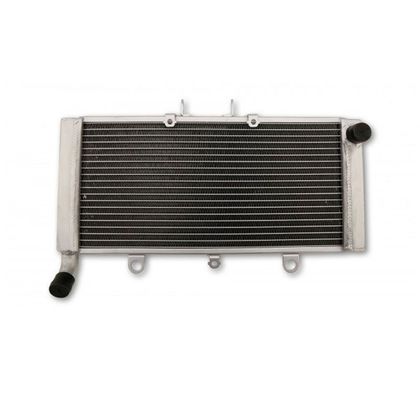 Radiateur Brazoline A EAU ADAPTABLE