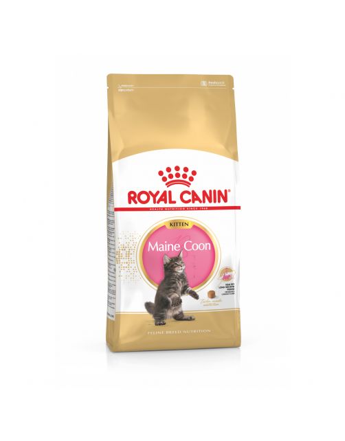 Royal Canin Maine Coon Kitten - Kitten-Kattenvoer