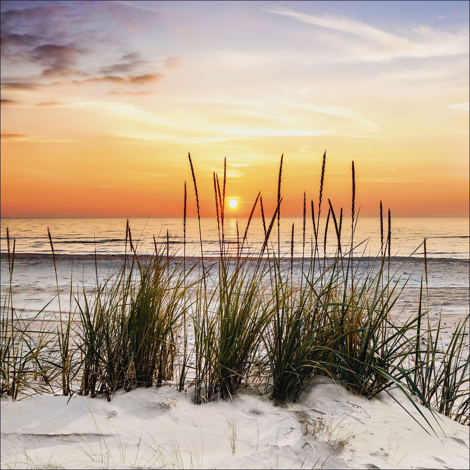 PRO ART Canvas-Art Bild LONELY DUNE 30 x 30 cm mehrfarbig