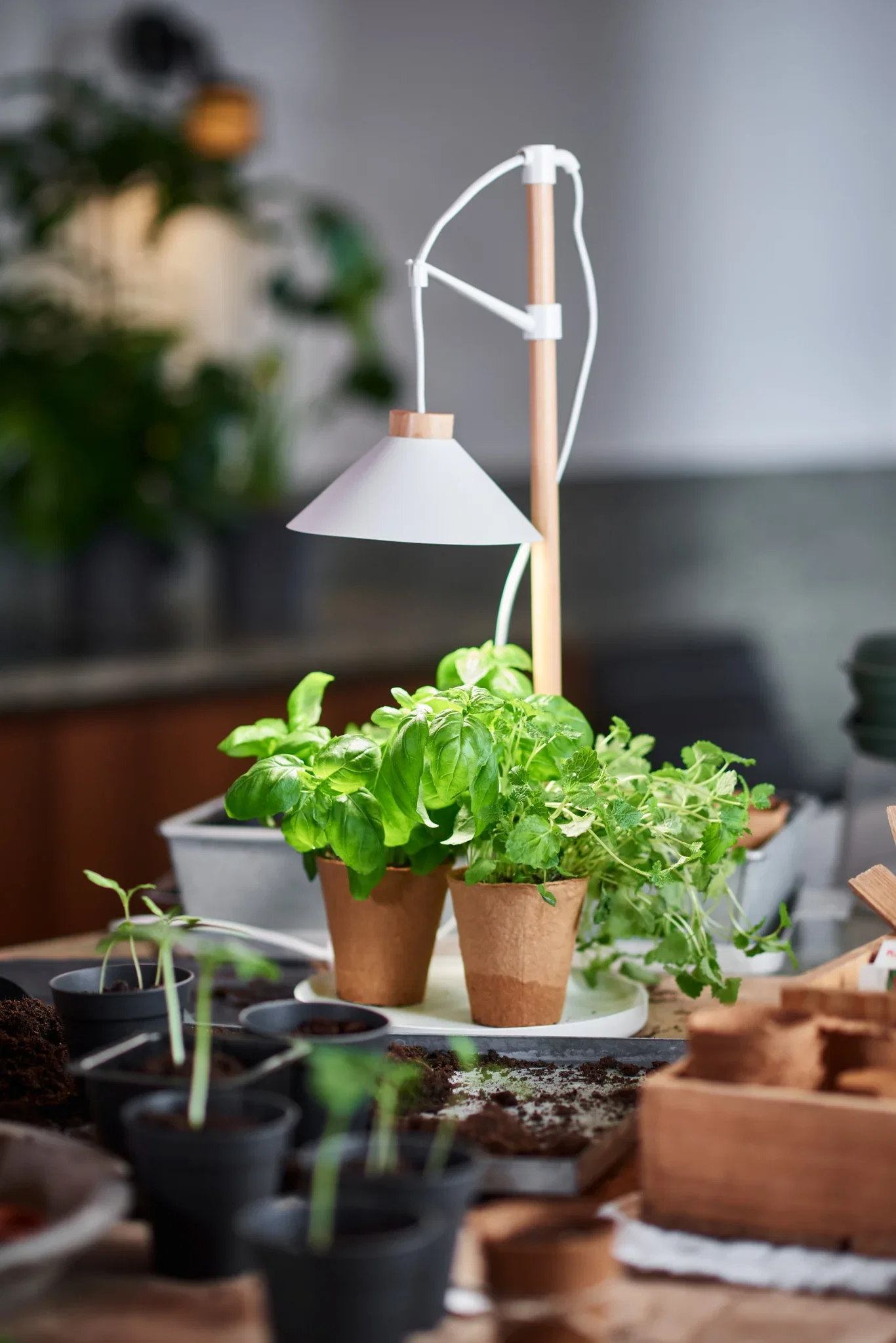 Plantagen Plantebelysning med brett Asti
