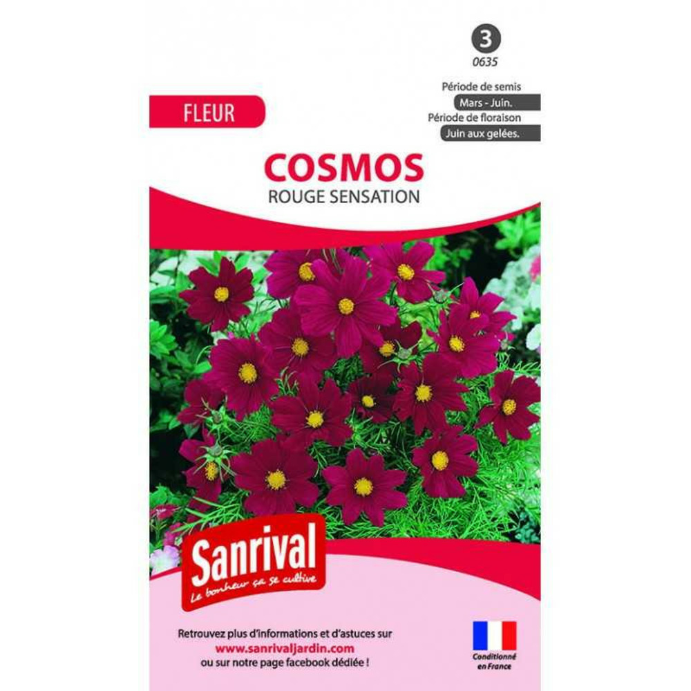 Graines cosmos rouge sensation
