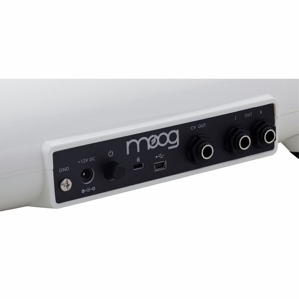 Moog Theremini