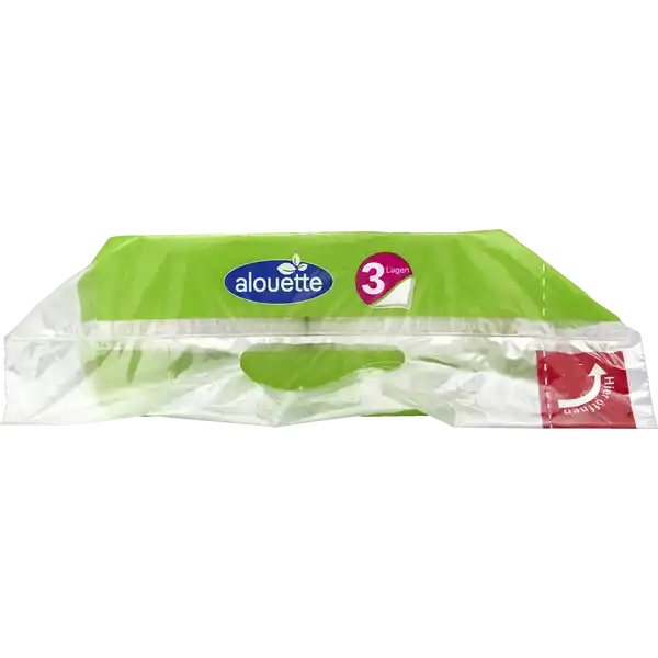 Recycling Toilettenpapier
