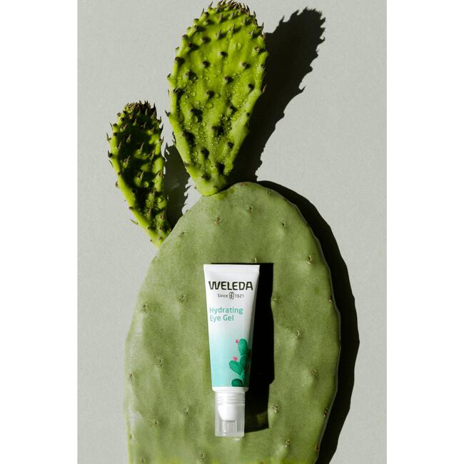 Weleda Vijgencactus HydraterendeOoggel 10 ML