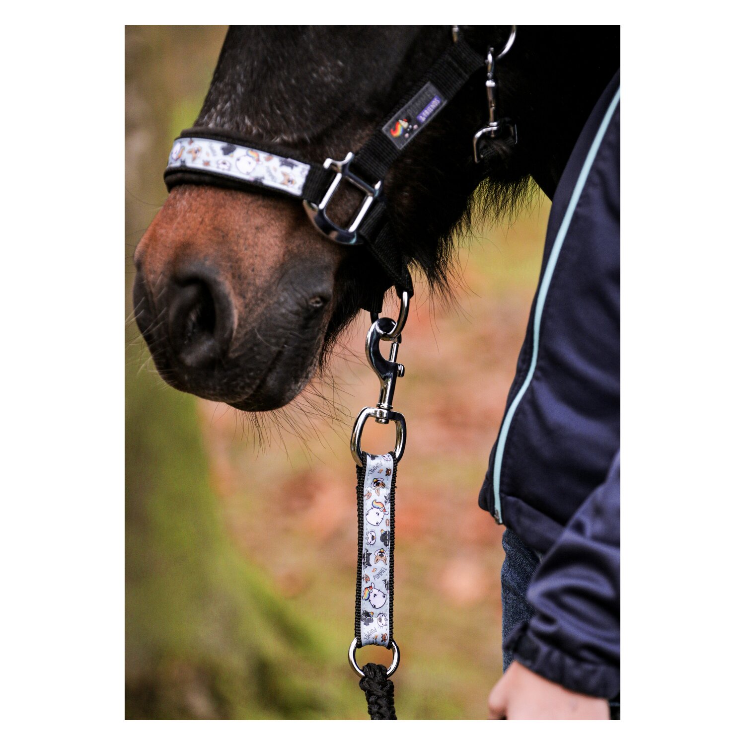 EQUEST Pummel Pets Friends Halfter Uno Plus  - black