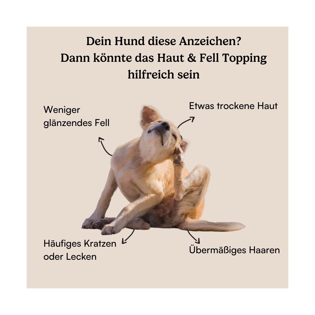 Hunderunde Futtertopping - Haut & Fell - Glänzendes Fell, Gesunde Haut, Natürliche Zutaten, vegan 250 g