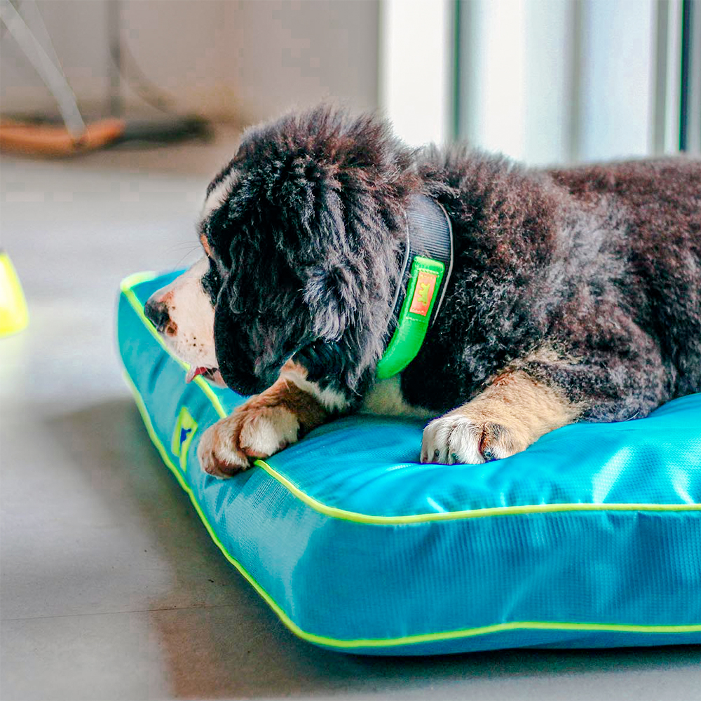 Ferplast panier chien chat - coussin orthopédique chien - lavable en machine - tapis chien - lit chat chien - imperméable &