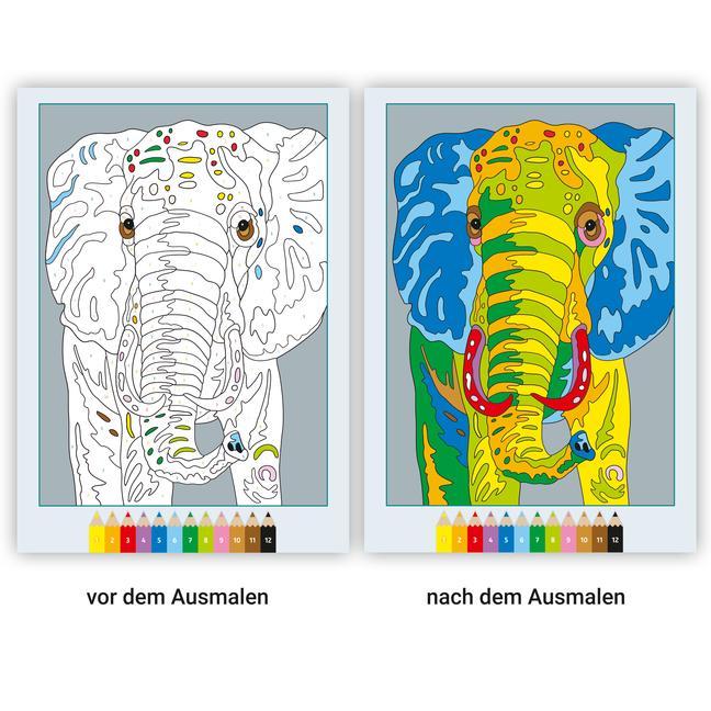 Ravensburger CreArt Malen nach Zahlen ab 7: Wilde Tiere, Malbuch, 24 Motive
