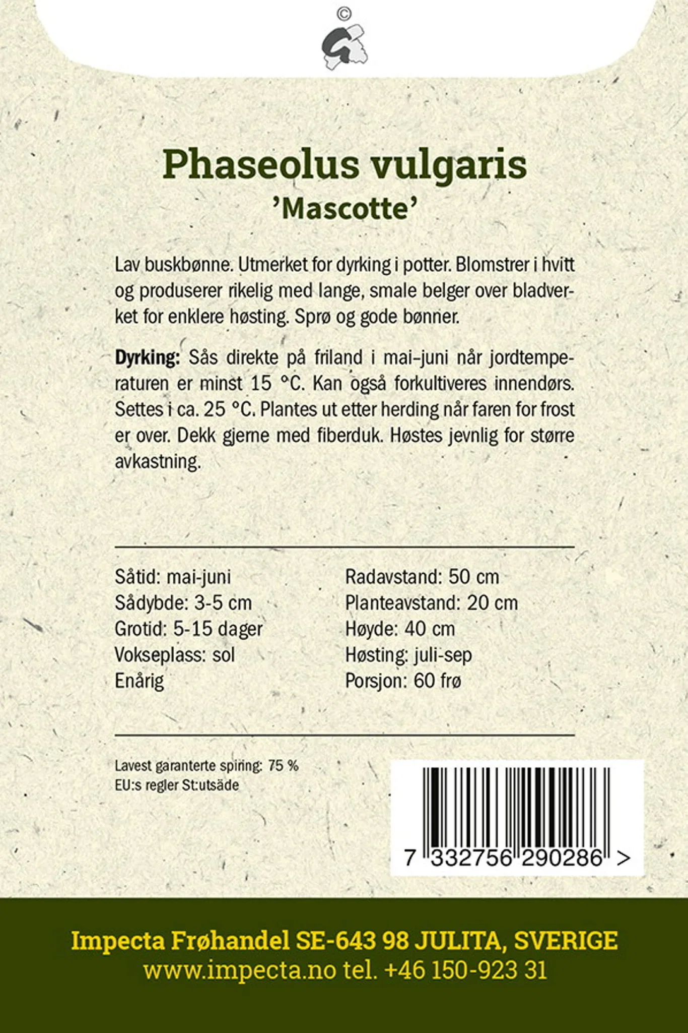 Phaseolus vulgaris 'Mascotte' Brekkbønne 'Mascotte'