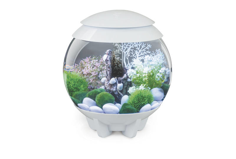 biOrb Halo 15 MCR Wit