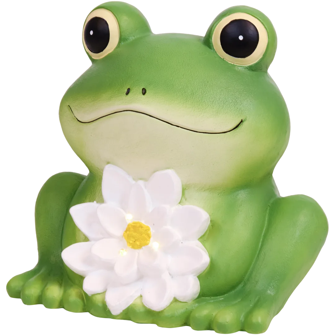 Grenouille solaire