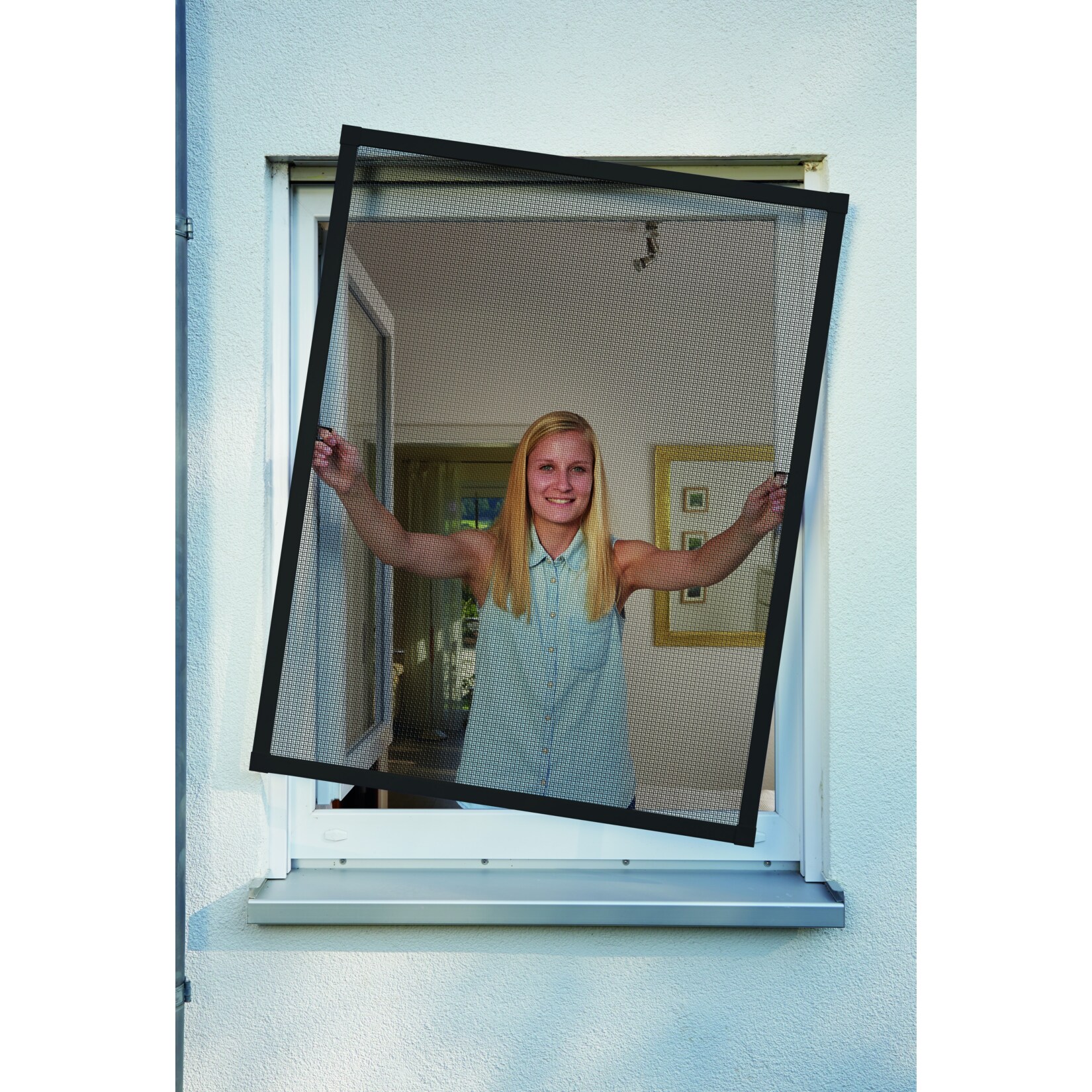 Schellenberg Insektenschutz-Fenster Plus, anthrazit, 100x120 cm