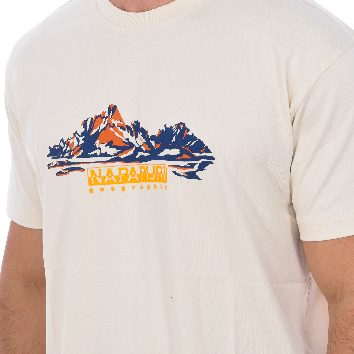 Camiseta S-backcountry Ss Np0a4gm1