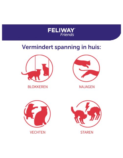 Feliway Friends Startset - Anti stressmiddel - 48ml 1 maand