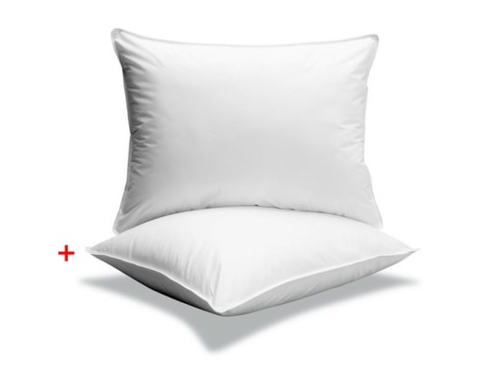 MASH - Oreiller carré Pack de 2 oreillers Microfibre 60x60cm mi ferme