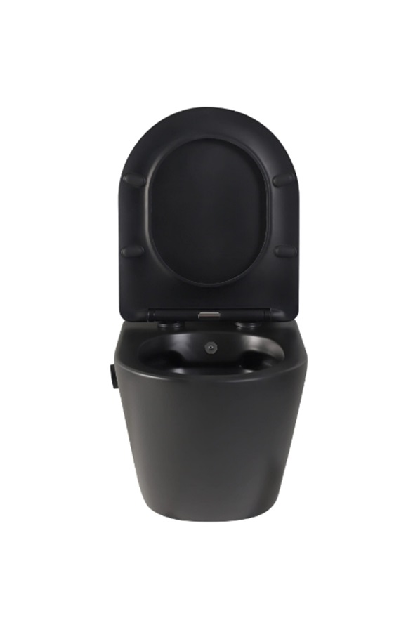 DTG Livorno douche wc met softclose zitting zwart mat