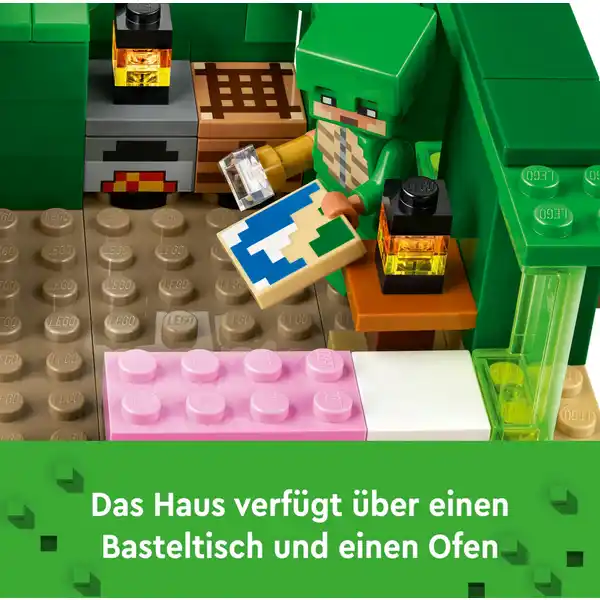 21254 Das Schildkrötenstrandhaus
