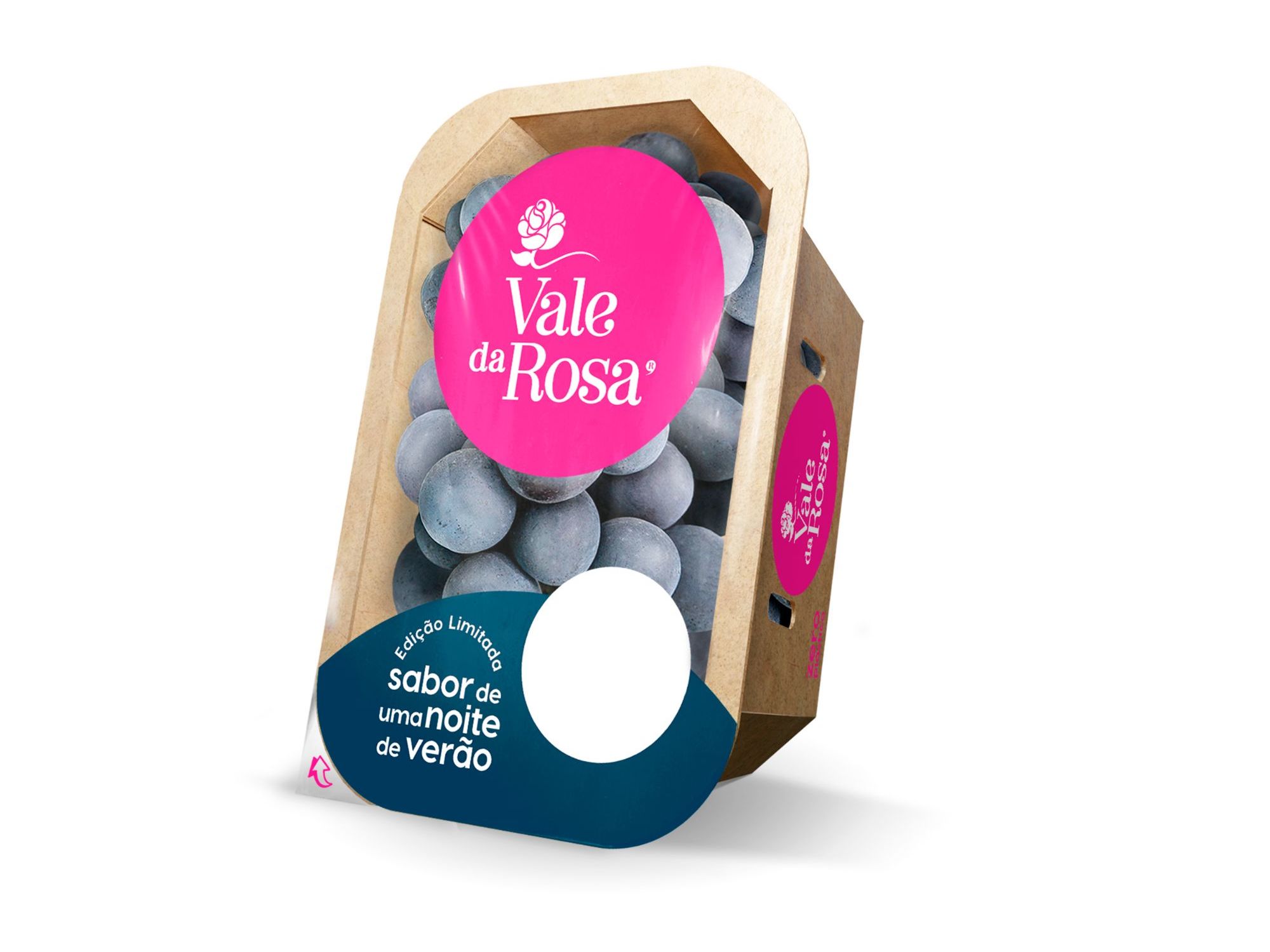 UVA PRETA VALE DA ROSA SEM GRAINHA 400 G