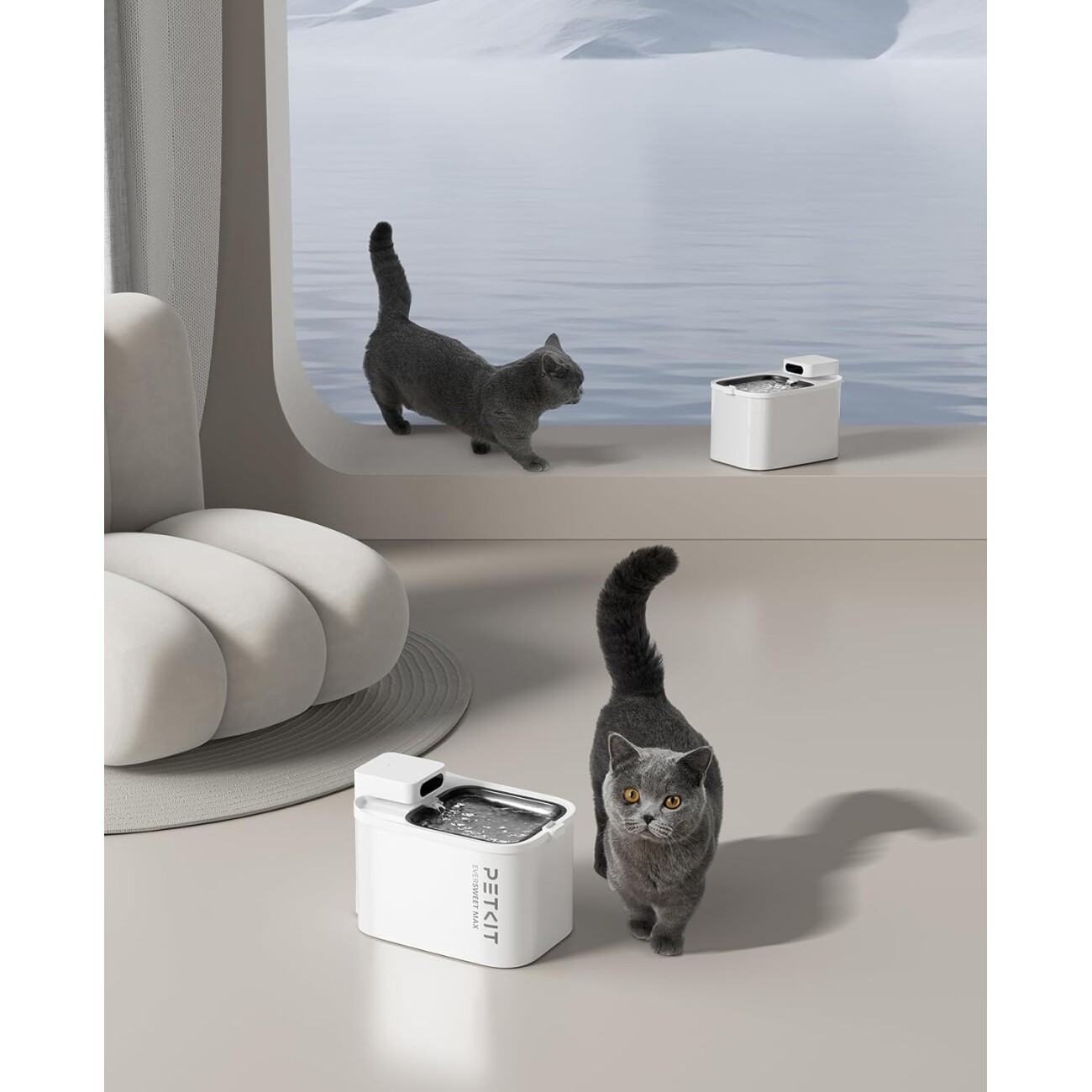 PetKit Kabelloser Katzen Trinkbrunnen Evermax