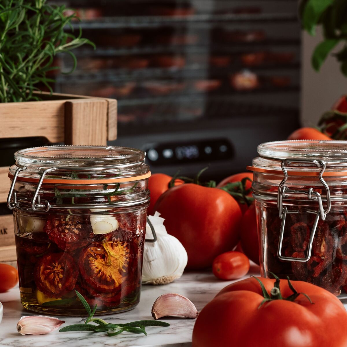 Dehydrator tørkeovn 5 lag