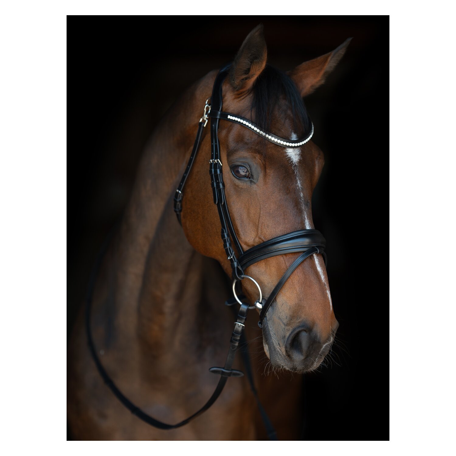 Cheval de Luxe Trensenzaum Catania  - schwarz