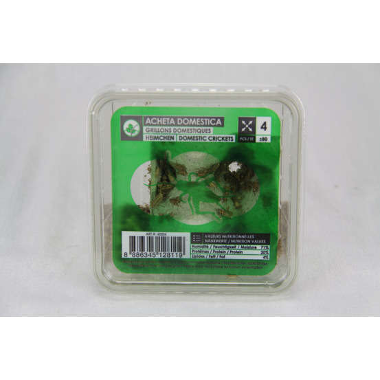 Grillons alimentation reptiles, taille petit, 70/80 pièces