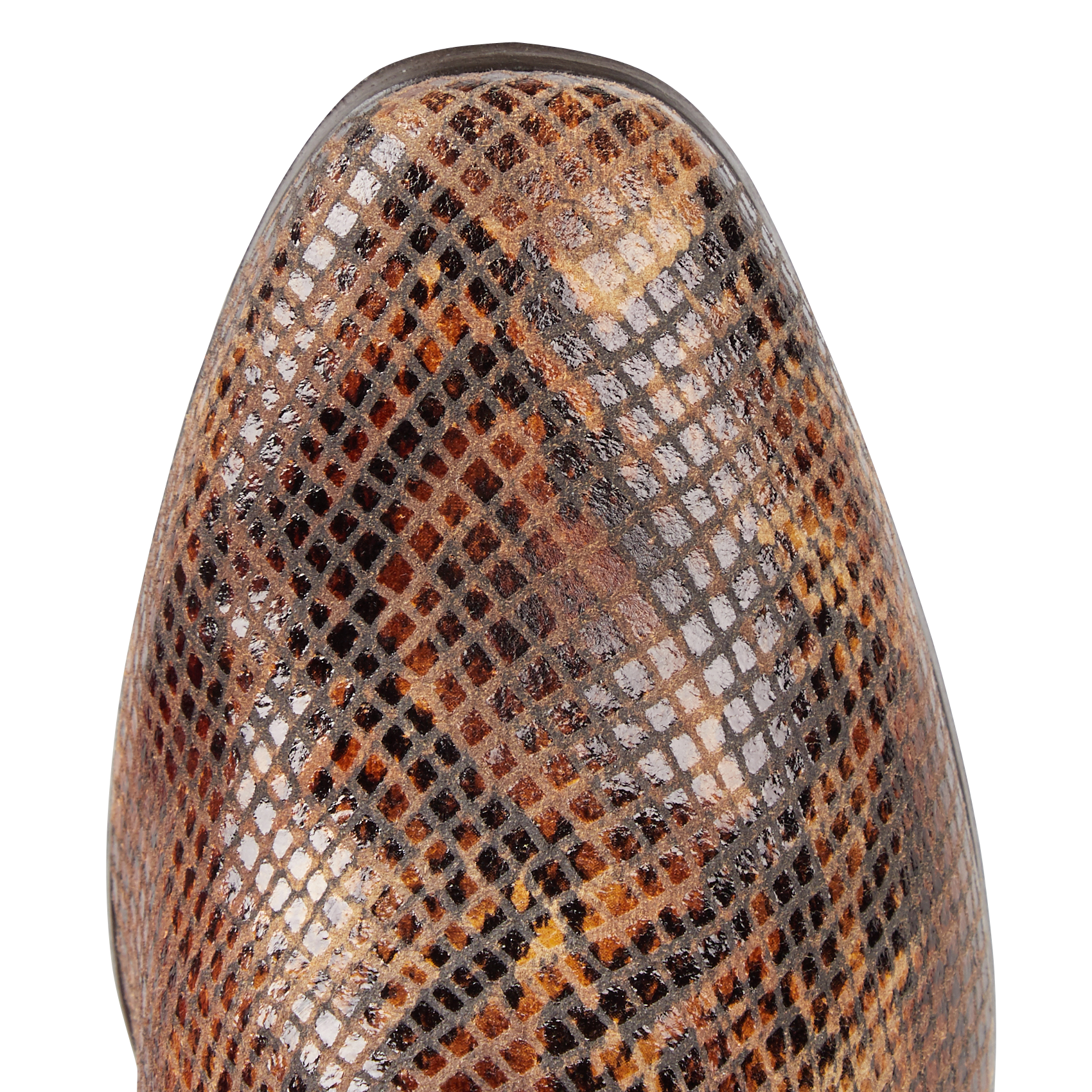 GAZETTE - Bottines en cuir imprimé motif python | Marron