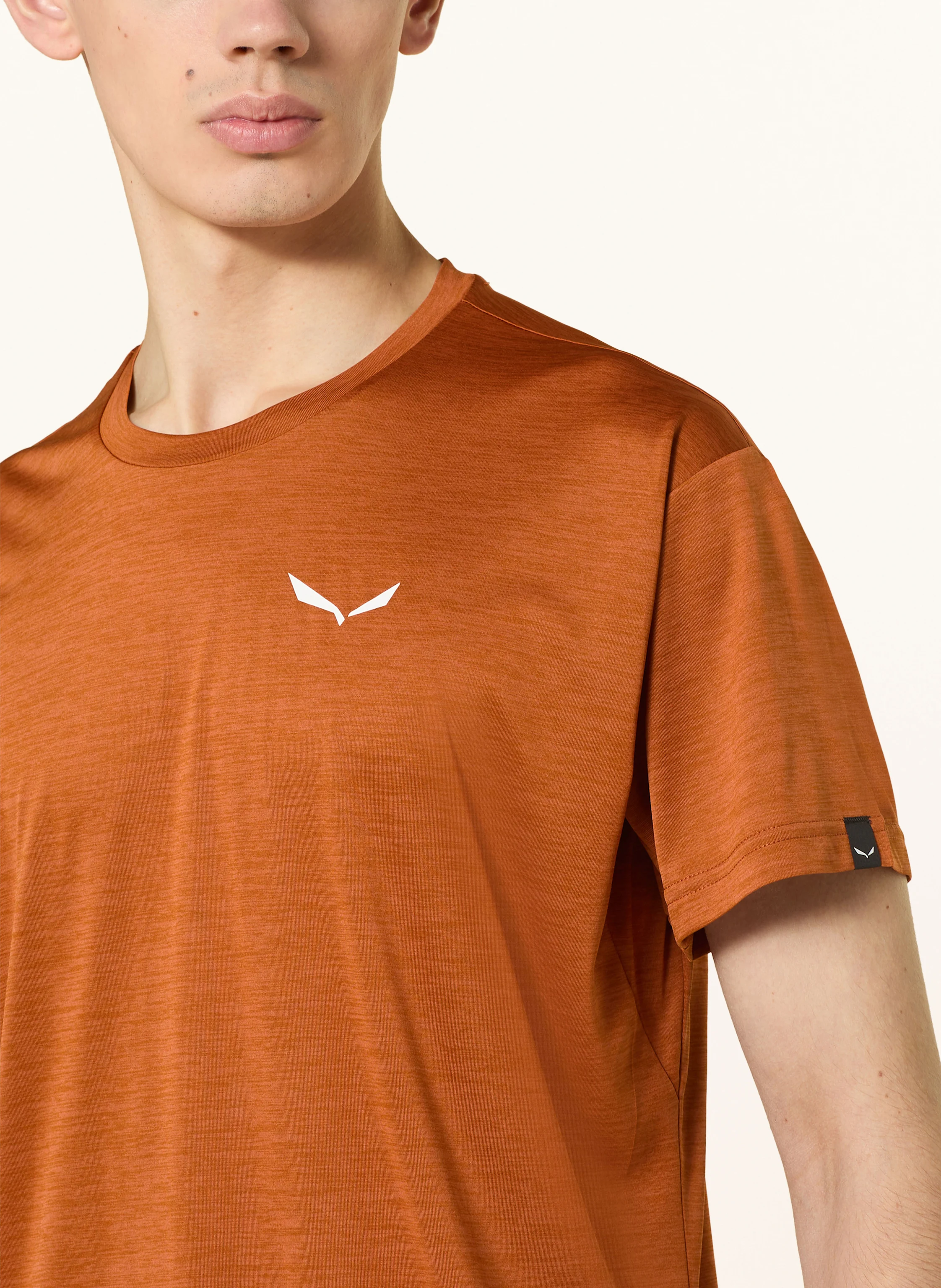SALEWA T-Shirt PUEZ MELANGE DRY'TON