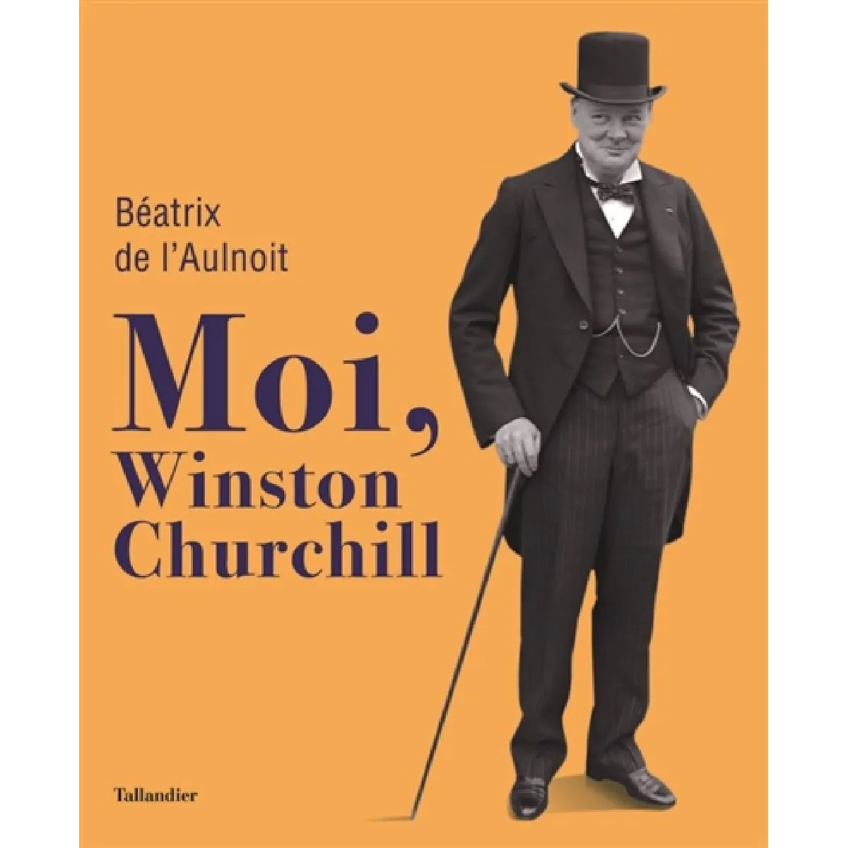 Moi, Winston Churchill · Occasion