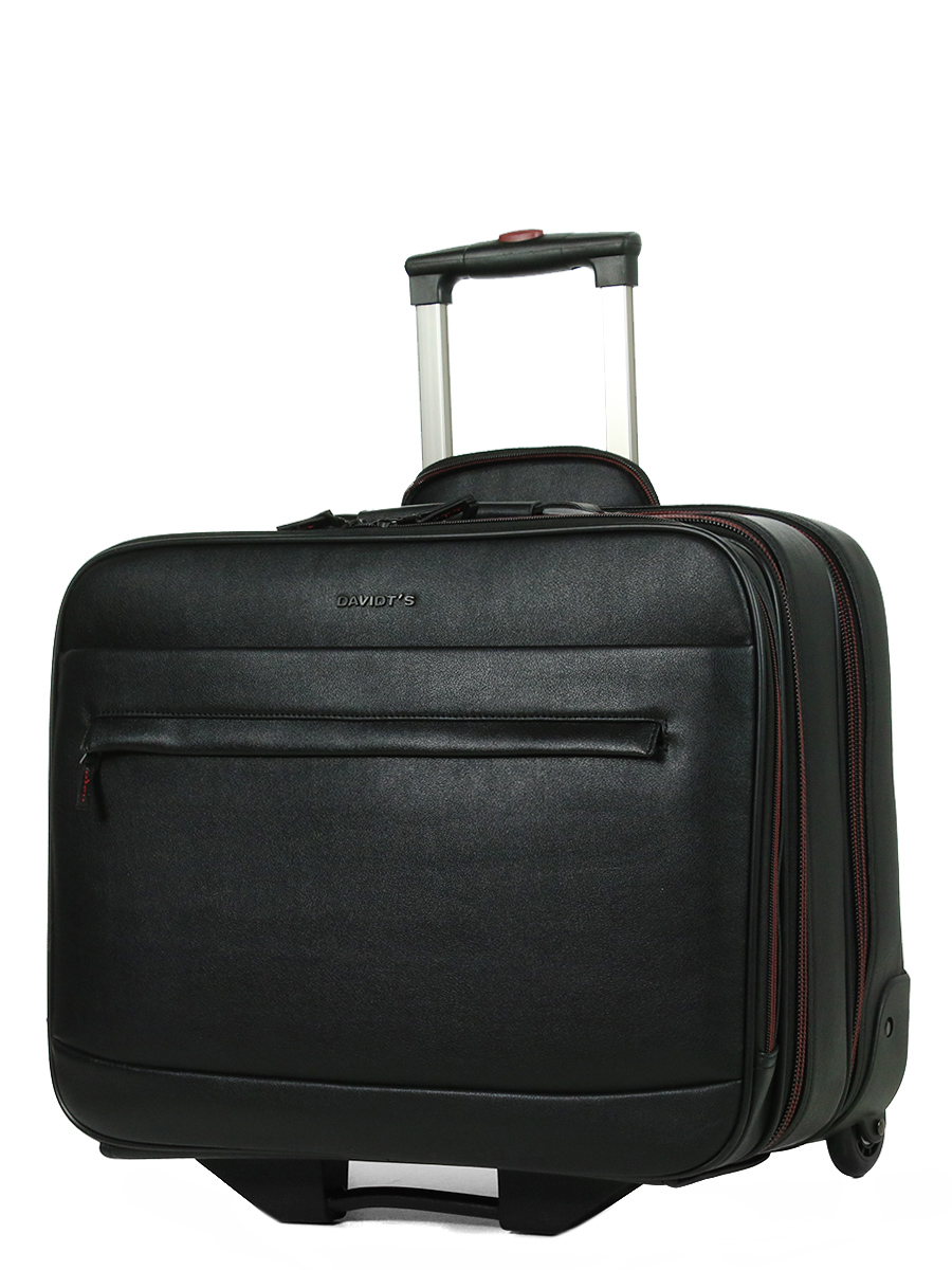 Pilot case Davidt's Oran 17 pouces