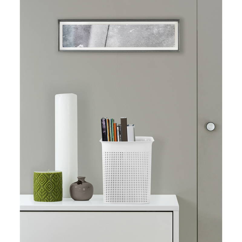 rotho Box BRISEN