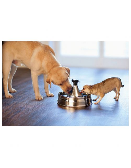 Petsafe Drinkwell 360 Roestvrijstalen Drinkfontein - Hondendrinkbak - 3.8 l
