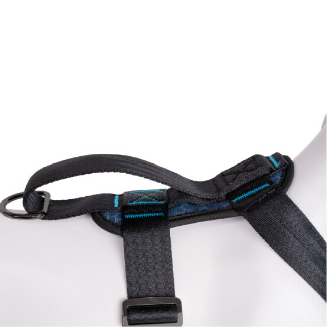 Harnais Crash Tested transport en voiture CarSafe pour chien
