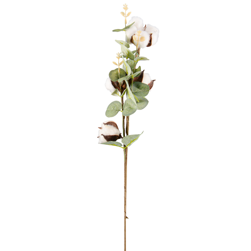 Tige de fleurs de coton et d'eucalyptus