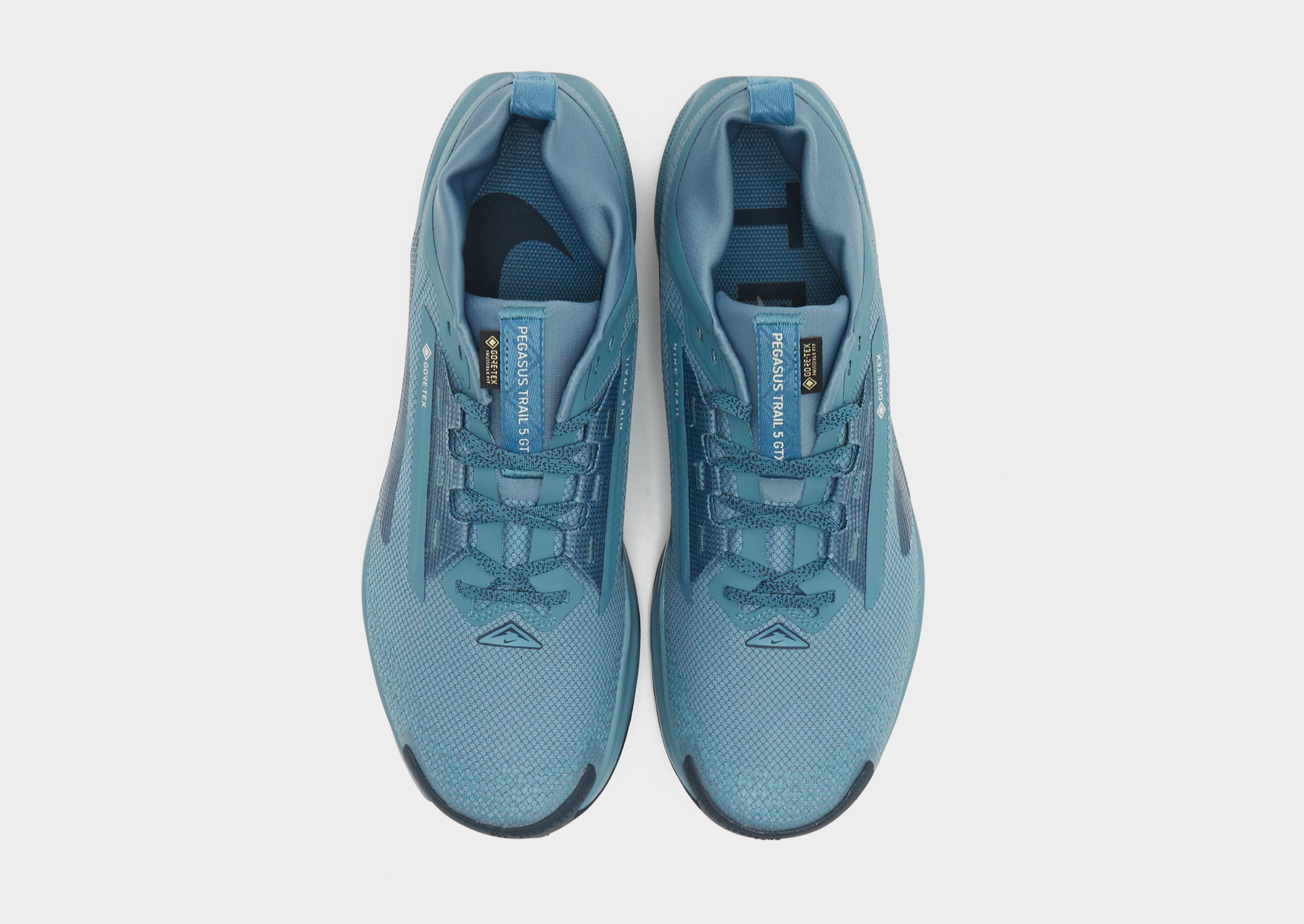 Nike Pegasus Trail 5 GORE-TEX Homme