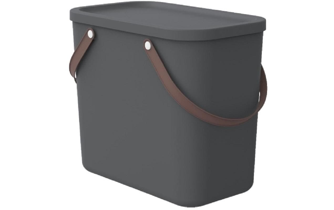 ROTHO Aufbewahrungsbox »A 25 l ALBULA«