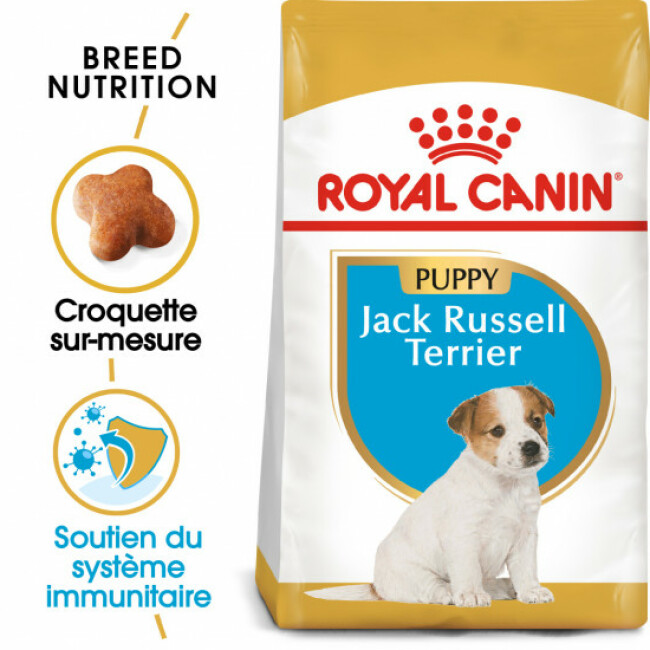 Croquettes Royal Canin Jack Russel Junior