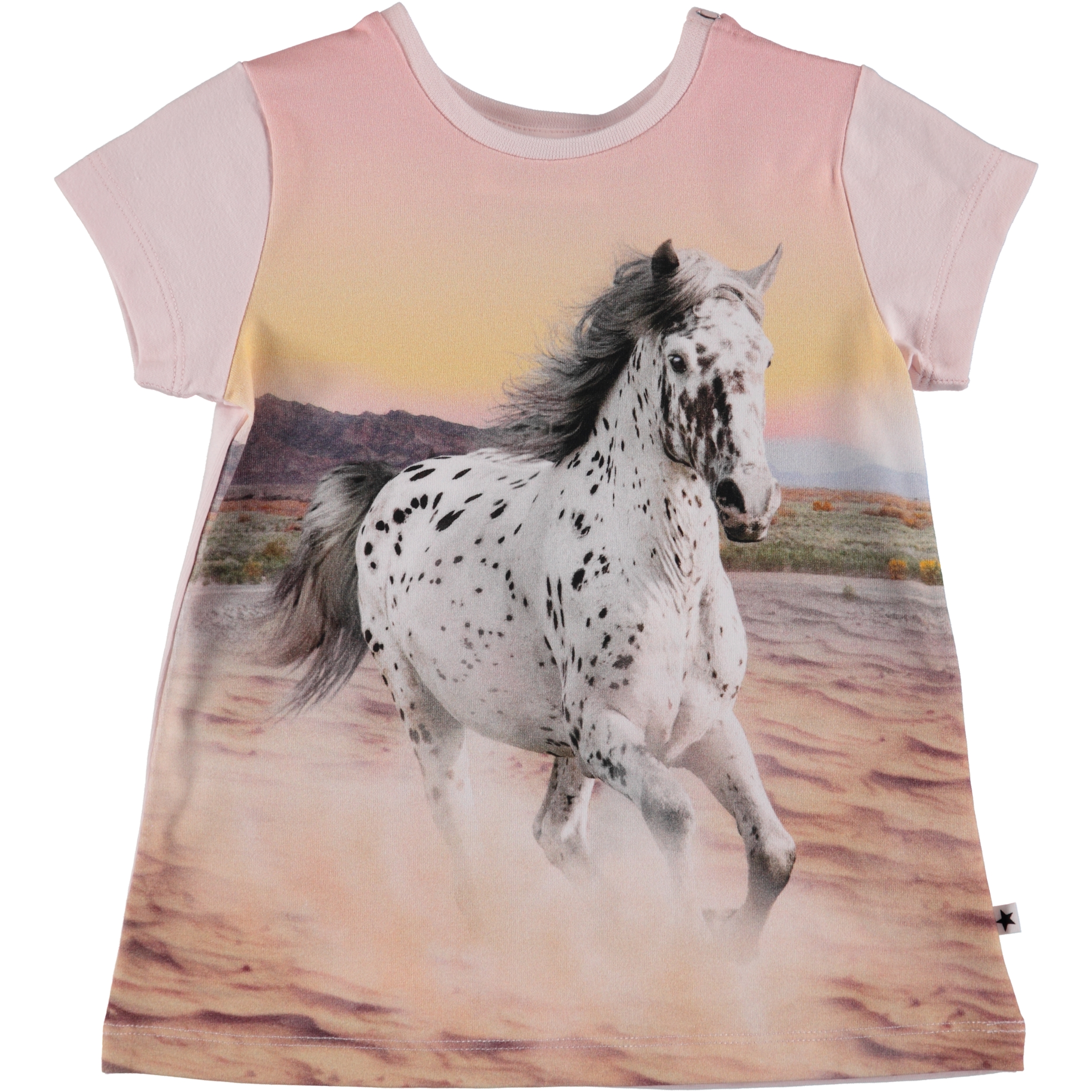 Corina - Wild Horses Baby