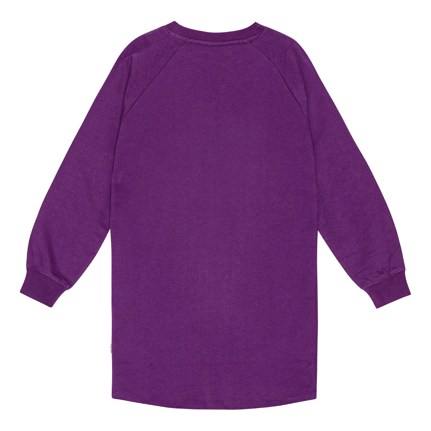 Carola - Warm Purple