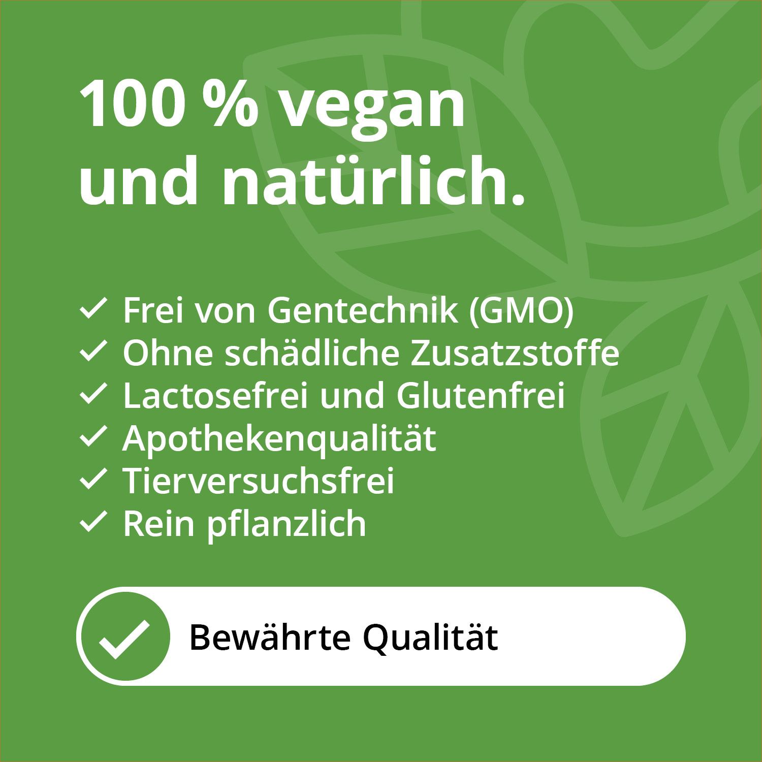 Casida® Quercetin Kapseln 500 mg