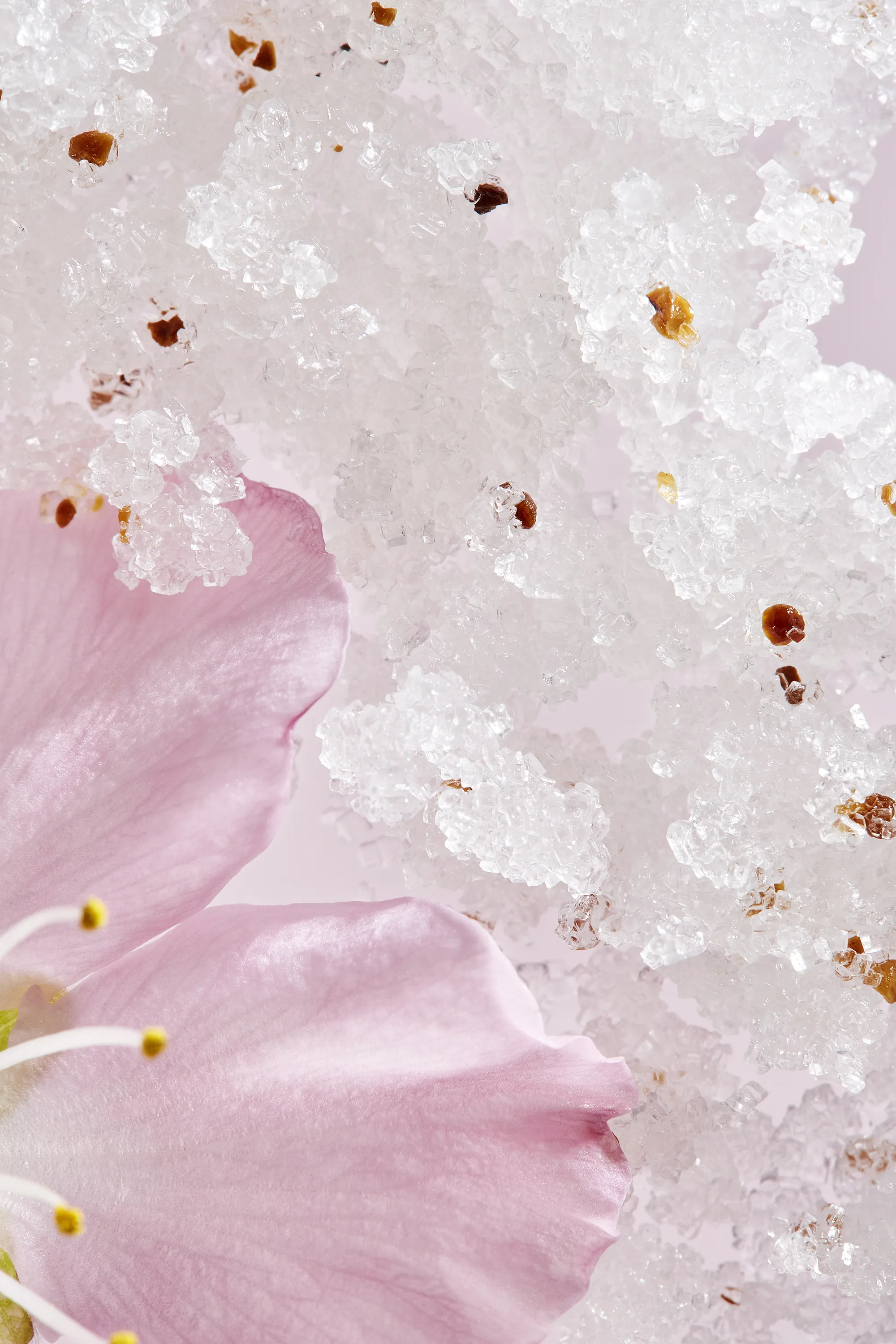 Rituals Gommage pour le corps The Ritual of Sakura-250 g