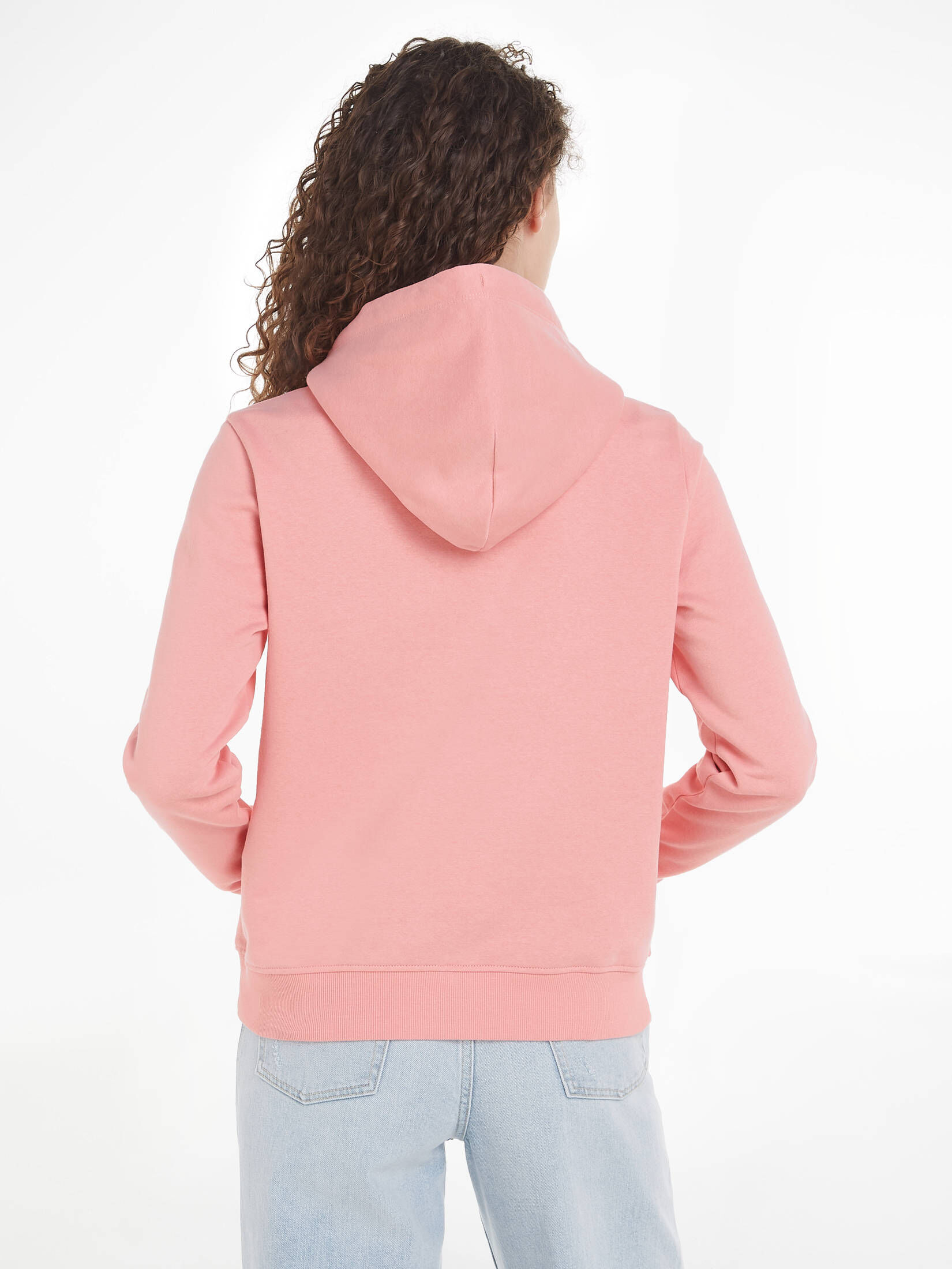 Tommy Jeans| Damen Sweatshirt mit Kapuze TJW REG LINEAR HOODIE