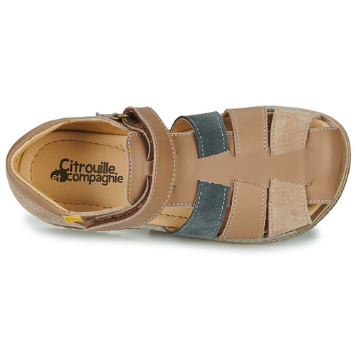 Citrouille et Compagnie - FRINOUI - Marron / Multicolore