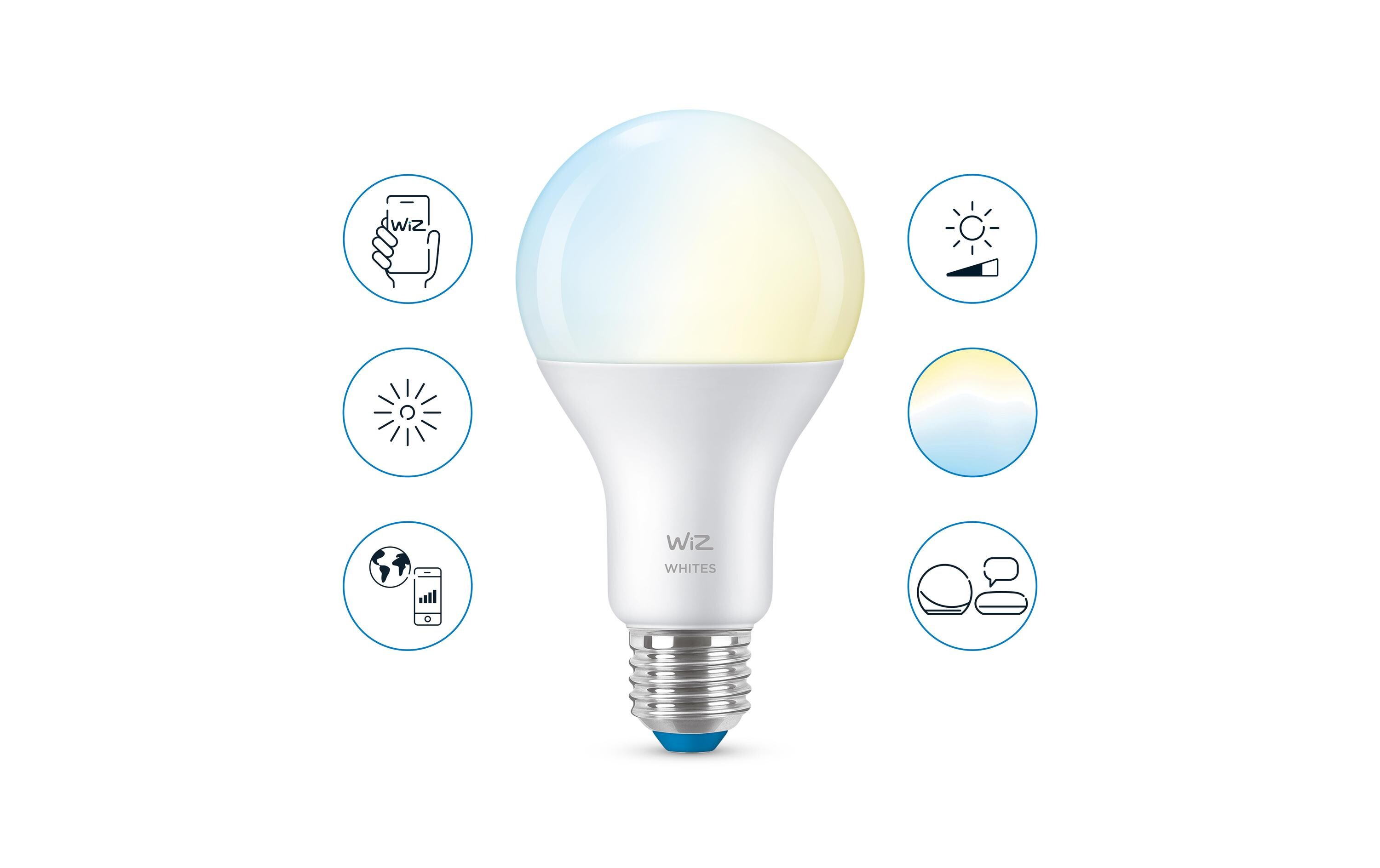 Leuchtmittel 13W (100W) E27 A67 Tunable White EinzelpackSmartes Leuchtmittel, steuerbar über Bluetooth, Matter, WLAN