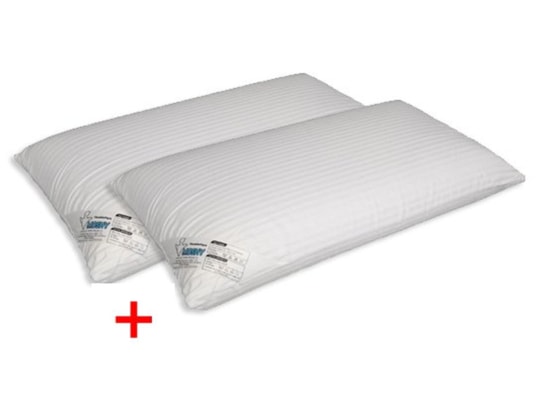 MOSHY - Pack oreiller Pack Mousse a memoire 70 x 40