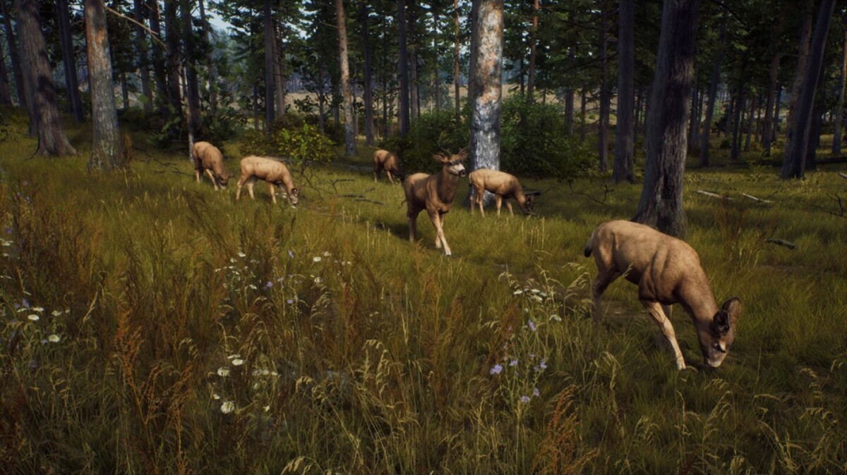 Way Of The Hunter - Xbox Series X