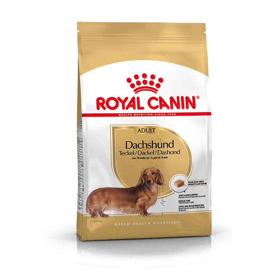 Ração Royal Canin para cães da raça Dachshund adulto
