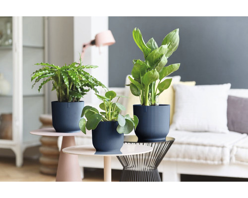 elho Vibes fold ronde mini plantenbak, kunststof, Ø 9,3 cm, H 8,8 cm, blauw