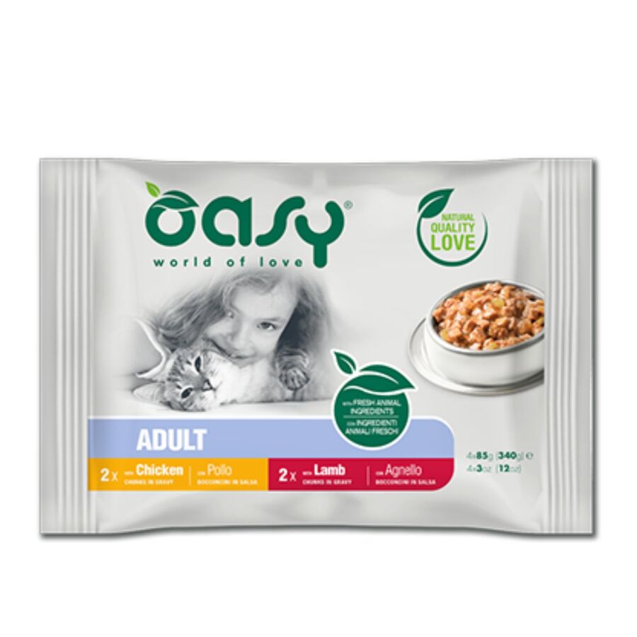 OASY CAT CHUNKS MOLHO MULTIPACK CARNE 4x85G