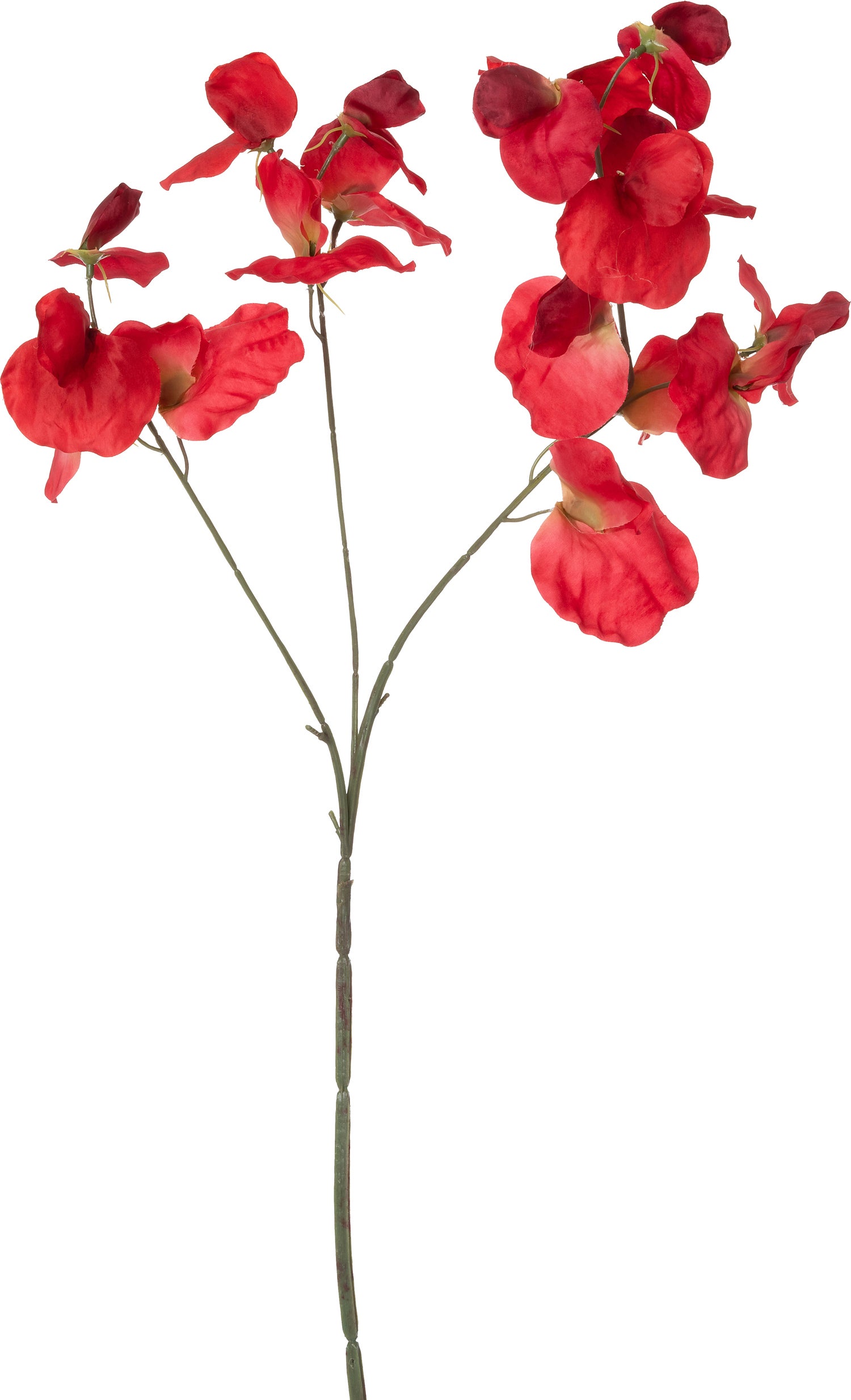 Intratuin kunstbloem Lathyrus rood 73 cm